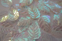 /album/fotogaleria-flitre-biele/p1200346-jpg/