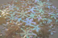 /album/fotogaleria-flitre-biele/p1200350-jpg/