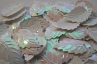 /album/fotogaleria-flitre-biele/p1200366-jpg/