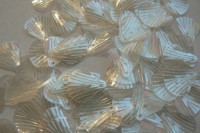 /album/fotogaleria-flitre-biele/p1200392-jpg/